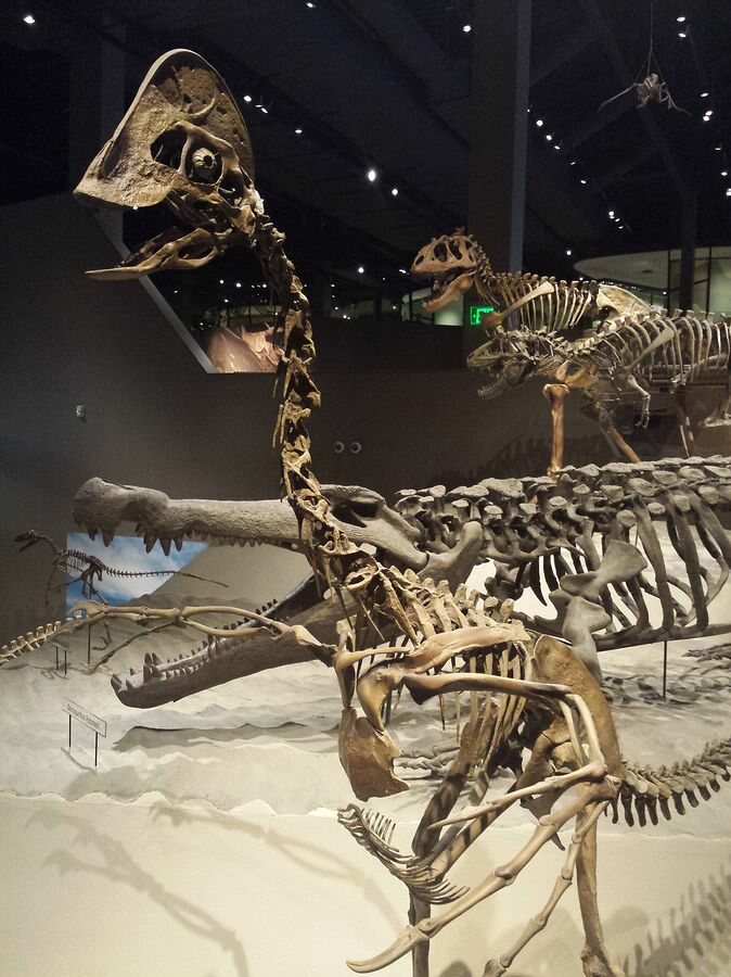 Click to See Next Image